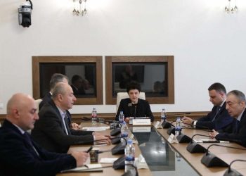 პარლამენტის დროებითმა საგამოძიებო კომისიამ უფლებების შელახვის ფაქტებთან დაკავშირებული საქმე განიხილა