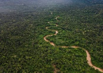 საფრანგეთი ამაზონის ჯუნგლებში ციხეს ააშენებს