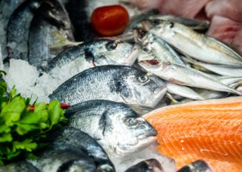 სურსათის ეროვნულმა სააგენტომ თევზის სარეალიზაციო ობიექტები შეამოწმა – როგორია შედეგები?