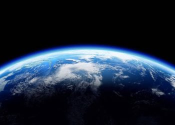 დედამიწის ისტორიაში ყველაზე გაუმაძღარი მტაცებელი გამოავლინეს