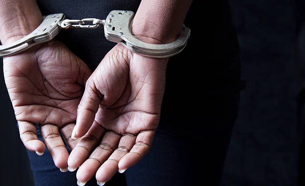 განსაკუთრებით დიდი ოდენობით ნარკოტიკული საშუალების საქართველოში უკანონოდ შემოტანის ბრალდებით დიდი ბრიტანეთის მოქალაქე დააკავეს