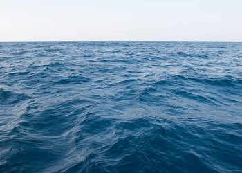 რა მოხდება, თუ ოკეანეში სიცოცხლე გაქრება: მეცნიერები პროგნოზს აკეთებენ