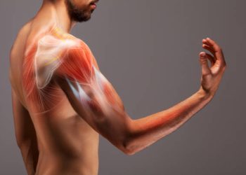 კუნთების გასაზრდელად ხორცის ჭამა არაა საჭირო – კვლევა