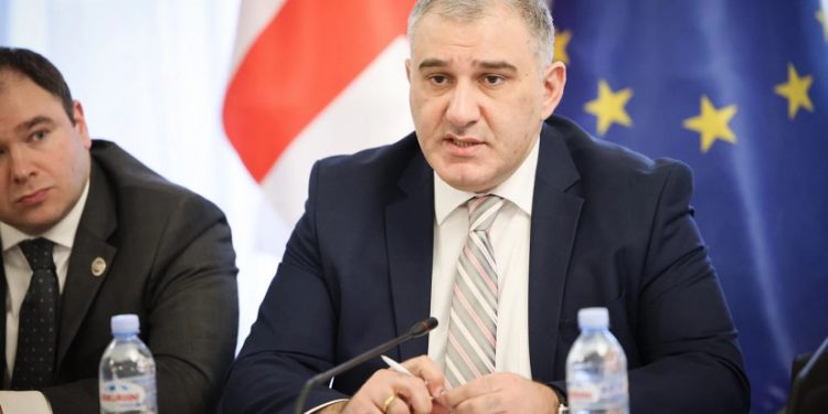 „წლის ბოლომდე, ჩვენ გვექნება რამდენიმე ასეული ფსიქიატრიული საწოლის დამატების შესაძლებლობა, რომელიც თანამედროვე სტანდარტებთან სრულად თავსებადი იქნება“ – მიხეილ სარჯველაძე