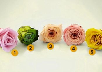 აირჩიეთ ვარდი და გაიგეთ, რამდენად უძლებთ სტრესს – სახალისო ტესტი