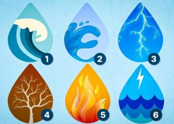 როგორი სამსახურია თქვენთვის იდეალური – სახალისო ტესტი