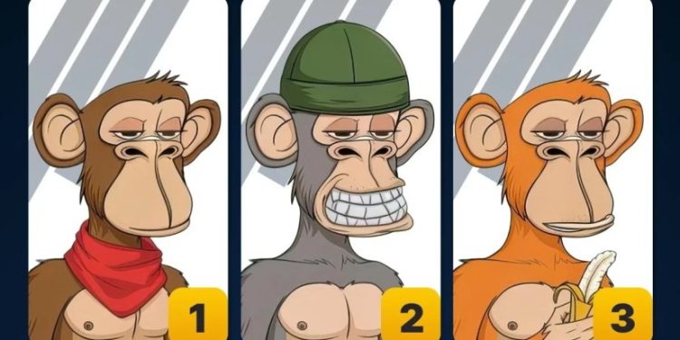 აირჩიეთ მაიმუნი და გაიგეთ, თქვენი ფარული ნიჭის შესახებ – სახალისო ტესტი