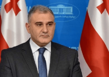 მიხეილ სარჯველაძე: ინფორმაცია თითქოს ინსულინის მოწოდება შეწყვიტა სახელმწიფომ, ეს არის ტყუილის შეგნებულად გავრცელება, დეზინფორმაცია