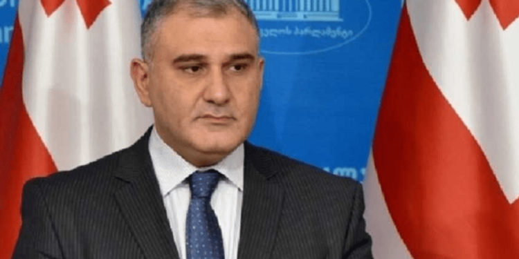 მიხეილ სარჯველაძე: ინფორმაცია თითქოს ინსულინის მოწოდება შეწყვიტა სახელმწიფომ, ეს არის ტყუილის შეგნებულად გავრცელება, დეზინფორმაცია