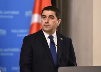 შალვა პაპუაშვილი: სწორედ ენაა ის მთავარი კოდი, რომლითაც ვარჩევთ შინაურს და გარეულს