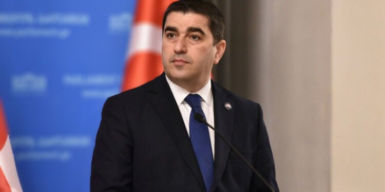 შალვა პაპუაშვილი: სწორედ ენაა ის მთავარი კოდი, რომლითაც ვარჩევთ შინაურს და გარეულს