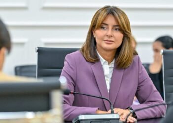 რუსთავში ხელოვნების მრავალპროფილური სასახლი აშენდება – ნინო ლაცაბიძე