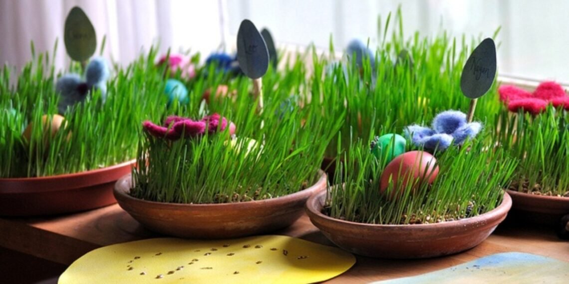 როგორ გავახაროთ ხასხასა ჯეჯილი – პრაქტიკული რჩევა სააღდგომოდ