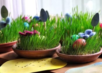 როგორ გავახაროთ ხასხასა ჯეჯილი – პრაქტიკული რჩევა სააღდგომოდ