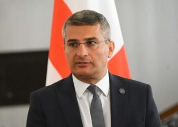 “არ ჰყავთ ლიდერი, არ აქვთ იდეა და ასრულებენ სხვის დავალებებს” – მამუკა მდინარაძე