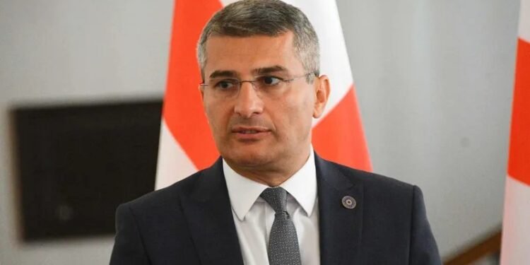 “არ ჰყავთ ლიდერი, არ აქვთ იდეა და ასრულებენ სხვის დავალებებს” – მამუკა მდინარაძე