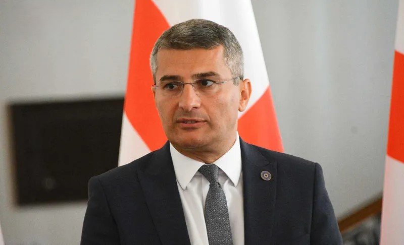 “არ ჰყავთ ლიდერი, არ აქვთ იდეა და ასრულებენ სხვის დავალებებს” – მამუკა მდინარაძე