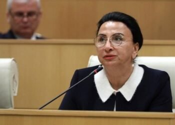 “ეს პროექტი არ არის მხოლოდ ბიზნესის განვითარება, ეს პოლიტიკური მიმართულებაცაა” – რიმა ბერაძე