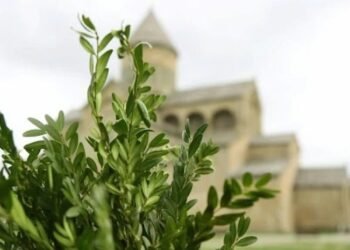 ლოცვა, რომელიც ბზობის დღესასწაულზე იკითხება