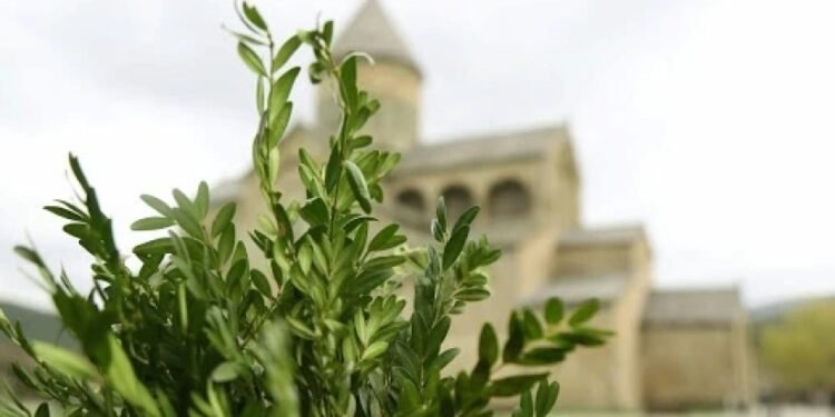 ლოცვა, რომელიც ბზობის დღესასწაულზე იკითხება