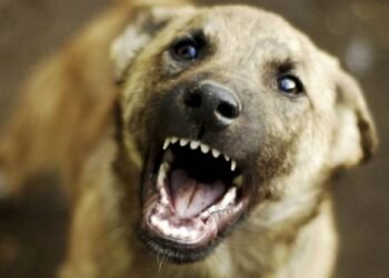 „დაუყოვნებლივ მიმართეთ სამედიცინო დაწესებულებას…“ – სურსათის სააგენტო