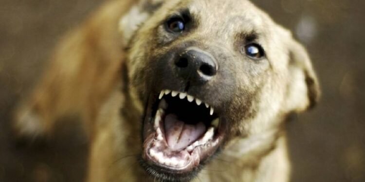 „დაუყოვნებლივ მიმართეთ სამედიცინო დაწესებულებას…“ – სურსათის სააგენტო