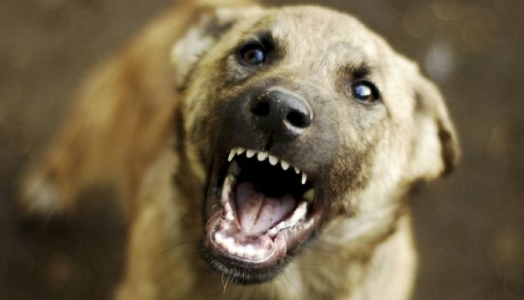 „დაუყოვნებლივ მიმართეთ სამედიცინო დაწესებულებას…“ – სურსათის სააგენტო