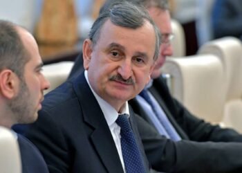 რომან გოცირიძე: ამ სისულელის მართლა გჯერათ, რომ ცოცხალ ძაღლებს წვავენ?