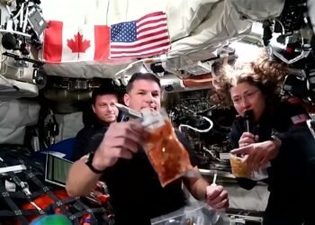 როგორ იკვებებიან Artemis 2-ის ასტრონავტები