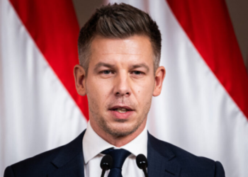 პეტერ მადიარი: ცხადია, კარგ ურთიერთობას განვაგრძობთ საქართველოსთან