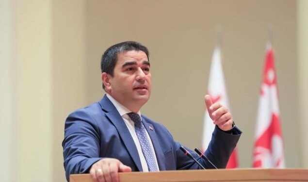 შალვა პაპუაშვილი: ოპოზიციას თავი კინოში ჰგონია