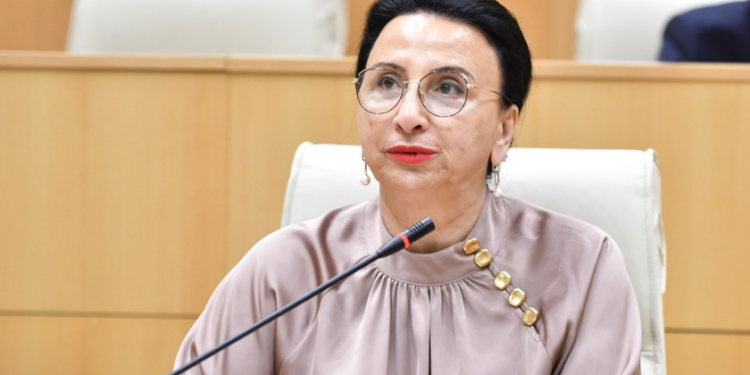 “ჯერ სცემეს მომიტინგეები, შემდეგ ძაღლები მიუქსიეს. ეს არის ორმაგი სტანდარტი” – რიმა ბერაძე