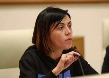“თუ ვინმემ გაძარცვა “ნაციონალური მოძრაობა” ეს ნიკა გვარამიაა” – ანა წითლიძე