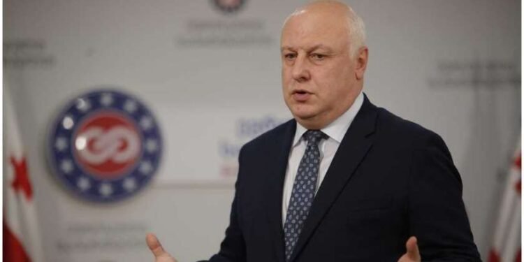 “არსებობს საკითხები, რომელიც შეიძლება გვაწუხებდეს” – გიგი წერეთელი