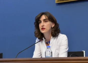 მაკა ბოჭორიშვილი საქართველოს საგარეო პოლიტიკაზე: „ქვეყანა წარმატებული მაგალითია“