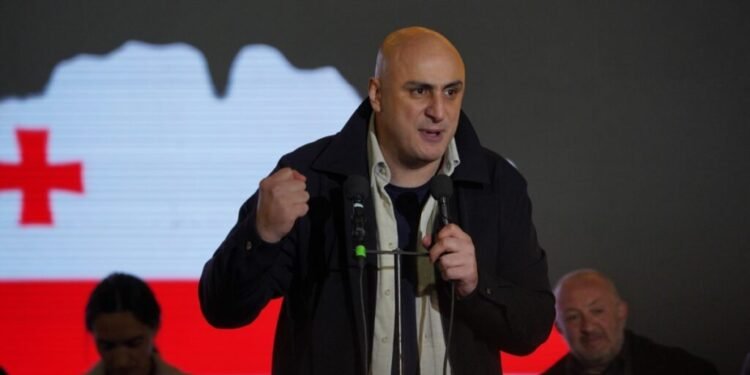 “სააკაშვილმა თავისი ცილისმწამებლური შხამი მაშინ მიმოაფრქვია, როცა…” – ნიკა მელია