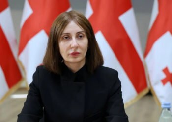 სახელმწიფო უსაფრთხოების აკადემიის რექტორად სოფიო აბულაშვილი დაინიშნა