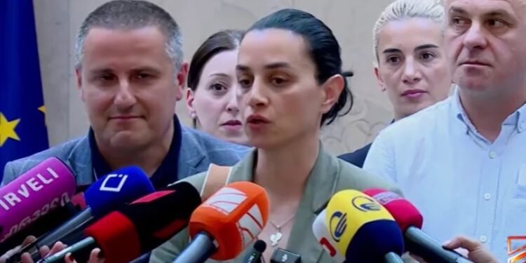 ” ჩვენი აქციები დღეს დასრულდება, აქცია აღარ იქნება კანცელარიასთან” – თამარ გოგალაძე