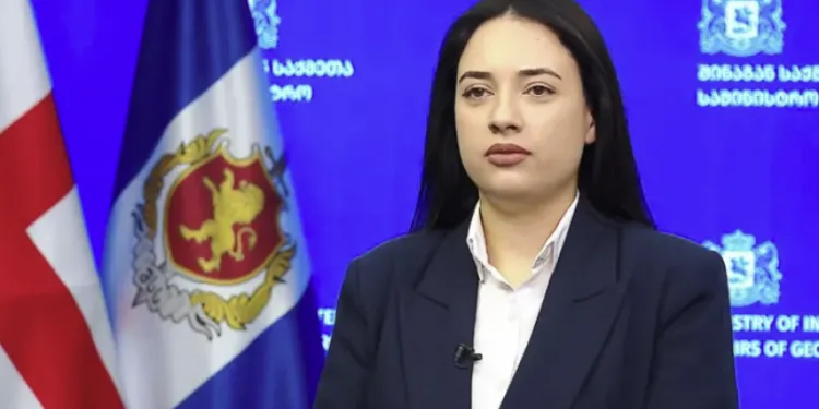 რა თქვა თამთა ქიმბარიშვილმა სოციალურ სივრცეში სიძულვილის ენაზე?