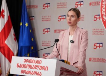 თინა ბოკუჩავა: ვრჩები „ნაციონალურ მოძრაობაში“ და ვიბრძოლებ ბოლომდე